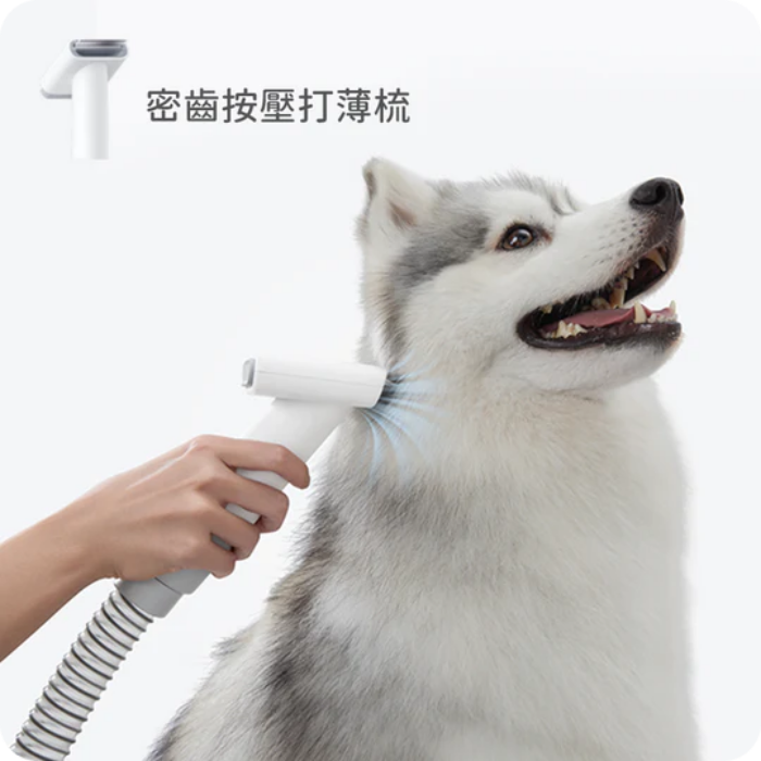 【Homrunpet】 寵物理毛器 剃梳吸六合一多功能美容清潔