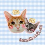multicolumn_image