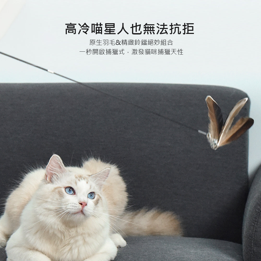 【Homerunpet】霍曼伸縮桿羽毛逗貓棒 耐用防咬