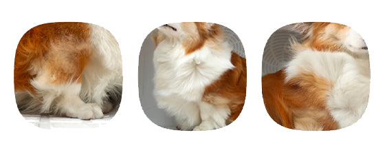 image-text-content