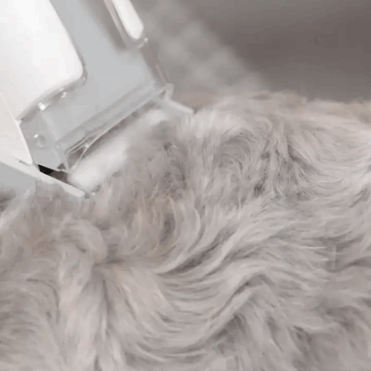 【Homrunpet】 寵物理毛器 剃梳吸六合一多功能美容清潔